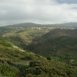 DSC00671-w740_h495